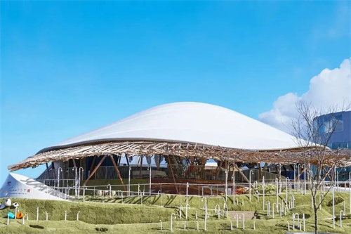 暑假來啦，佛蘭空間為您分享兒童友好無障礙館「水母館」